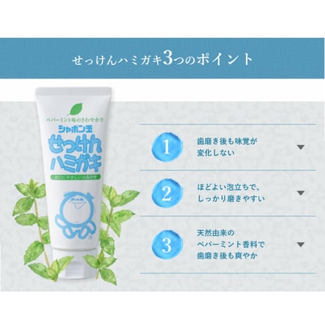 シャボン玉石けん　シャボン玉せっけんハミガキ　140g