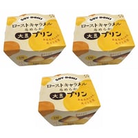 ヤマク食品　大豆プリン　ローストキャラメル　100g×3個