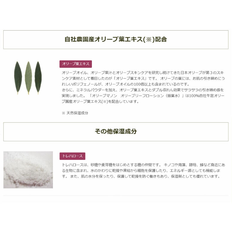 日本オリーブ オリーブマノン オリーブリーフローション（銀葉水