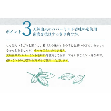 シャボン玉石けん　シャボン玉せっけんハミガキ　140g