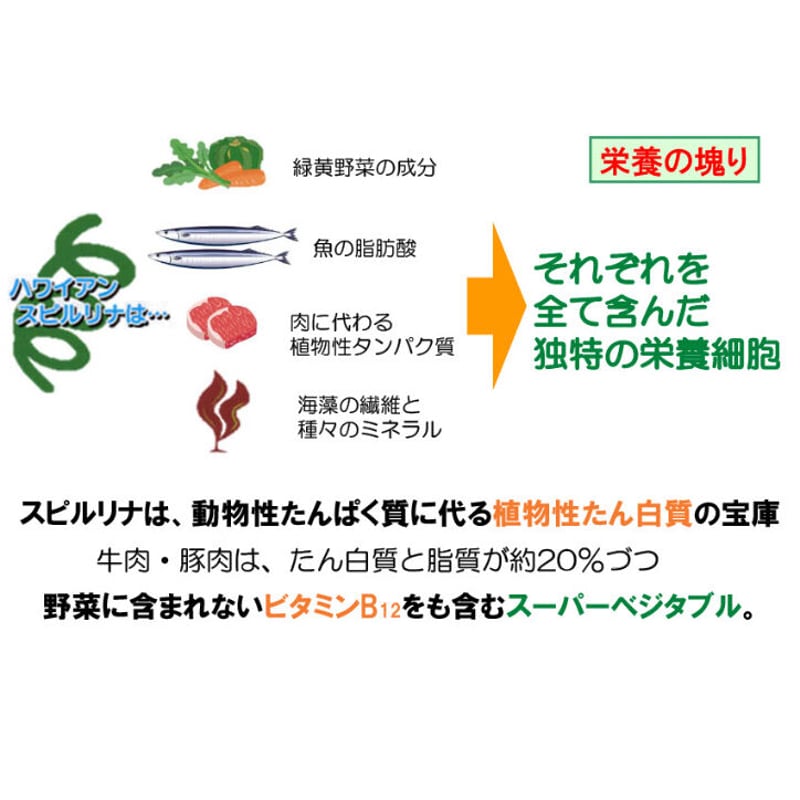 E&C LINA MAX-リナマックス- 500粒 | 日の丸薬局オンラインショップ