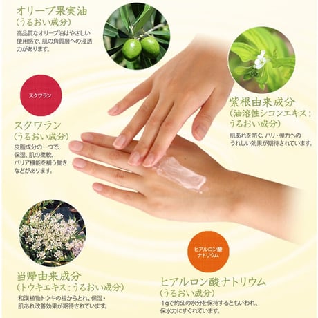 日本オリーブ　シコリーブ　薬用スキンクリーム　180g【医薬部外品】