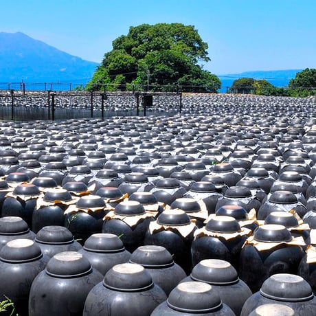 坂元醸造　坂元のくろず　薩摩　700ml