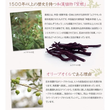 日本オリーブ　シコリーブ　薬用スキンクリーム　180g【医薬部外品】