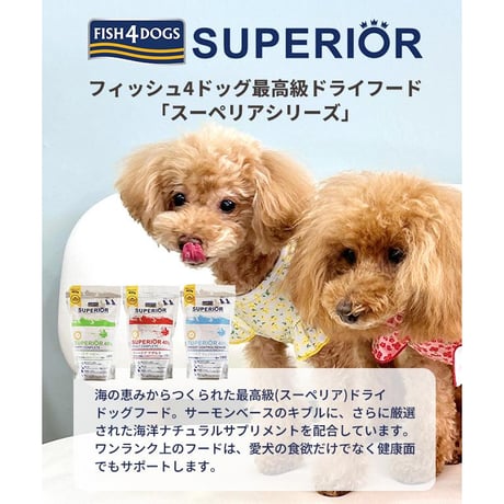 ●定期便●FISH4DOGS フィッシュフォードッグ スーペリア アダルト 6kg 犬用ごはん ドッグフード ドライフード