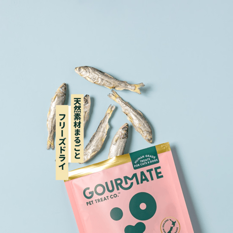 GOURMATE グルメイト トリーツ ベイビーキングサーモン 40g