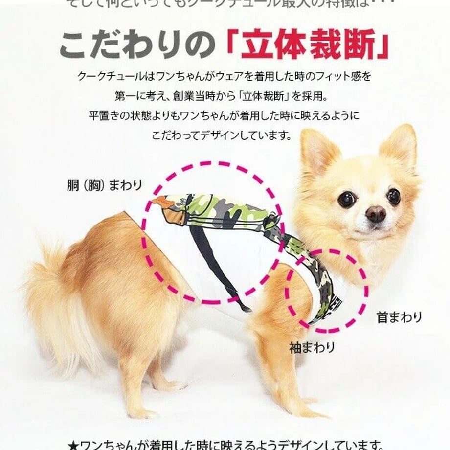 64915d0a243a75003191ed65