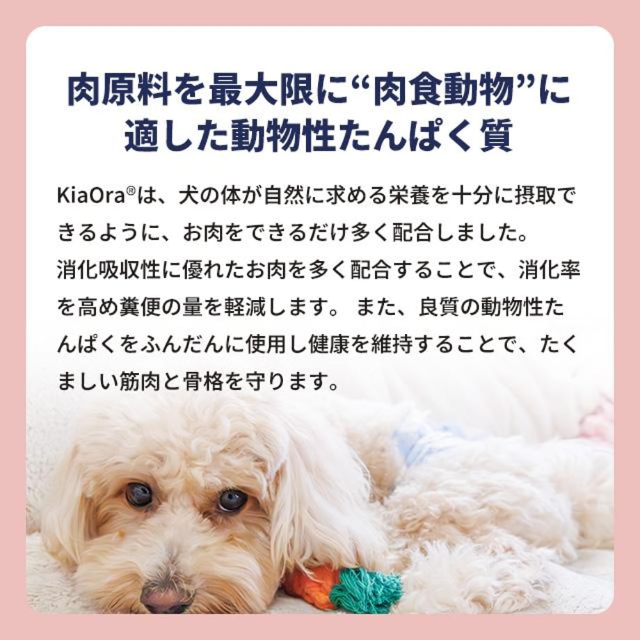 6975ca2bfc56600467cd8487