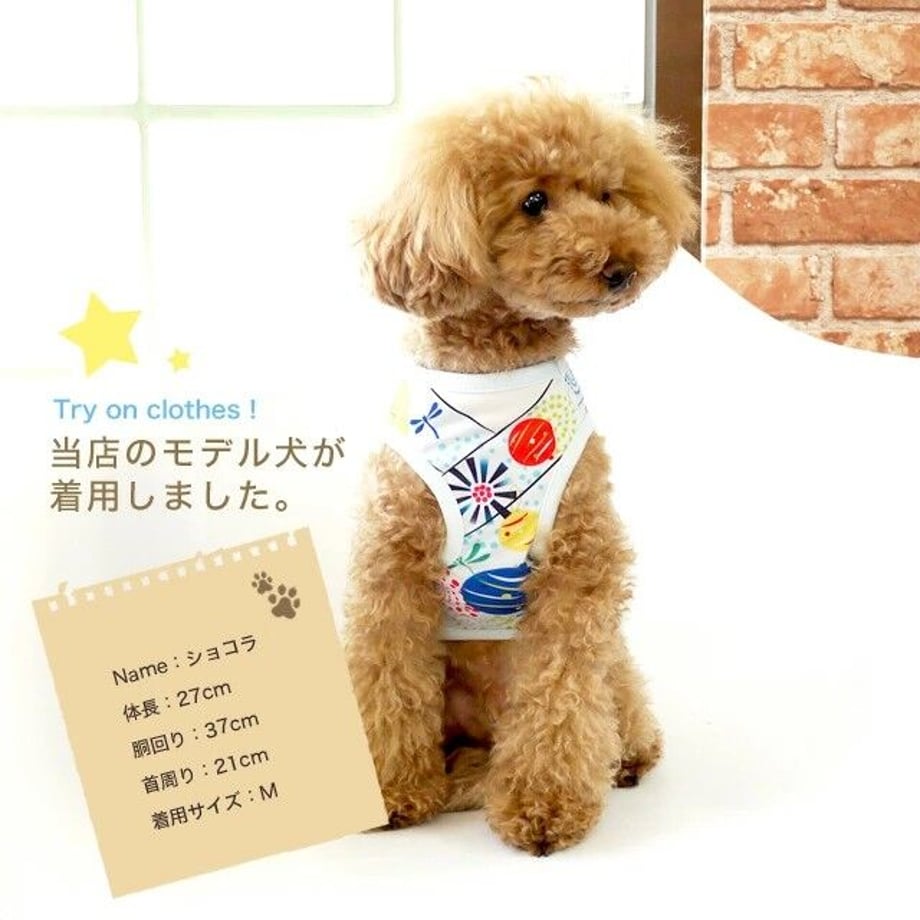 64915d0a243a75003191ed65