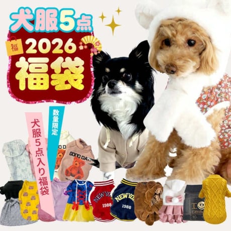 CATEGORY ウエア | ANZUDOG