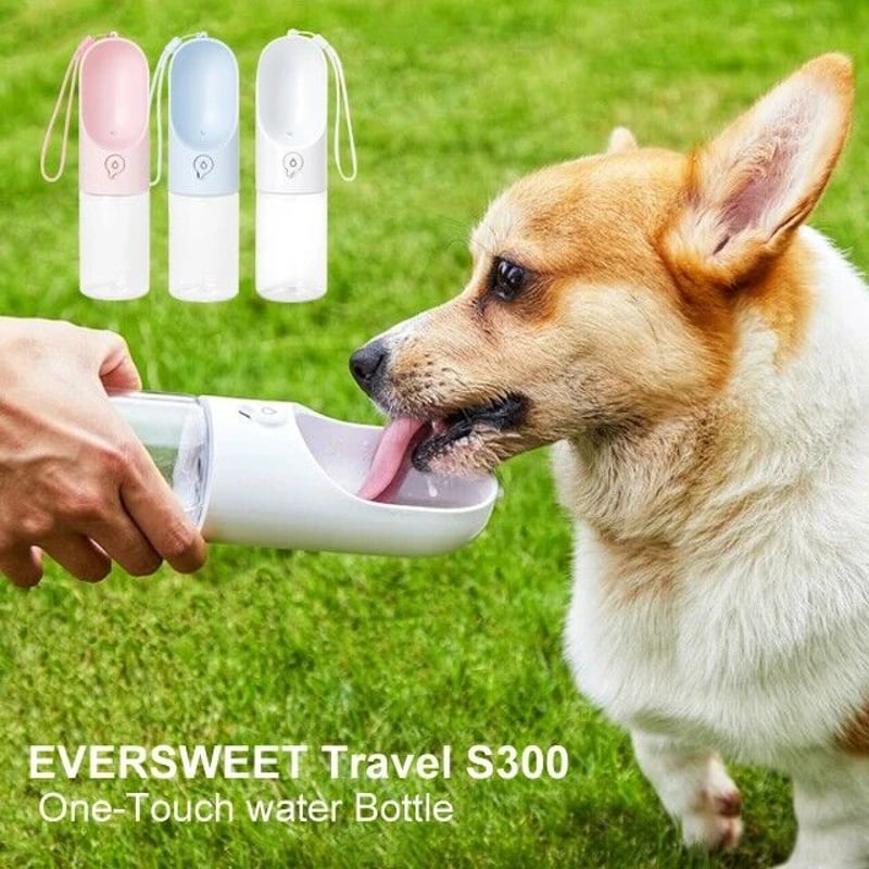 DADWAY】ワンタッチウォーターボトル 300ml | A N Z U D O G DADWAY】ワンタッチウォーターボトル 300ml | A N Z U D O G