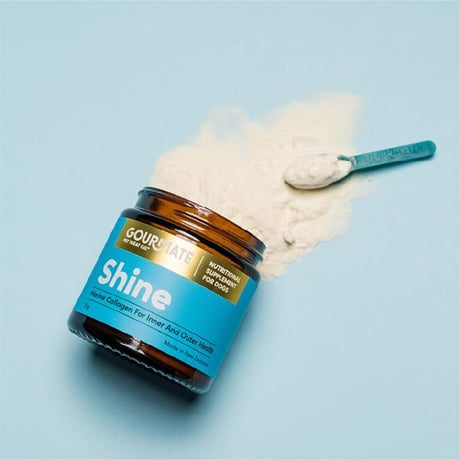 GOURMATE グルメイト Shine/シャイン 皮膚・被毛・消化器サポート パウダー 21g サプリメント ドッグフード 犬 猫 皮膚被毛サポート