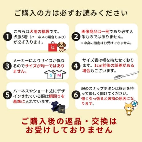 2026わんわん福袋 5点入り