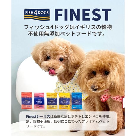 ●定期便●FISH4DOGS FINEST フィッシュフォードッグ ファイネスト サーモン 小粒・大粒 総合栄養食 1.5kg 犬用ごはん ドッグフード ドライフード