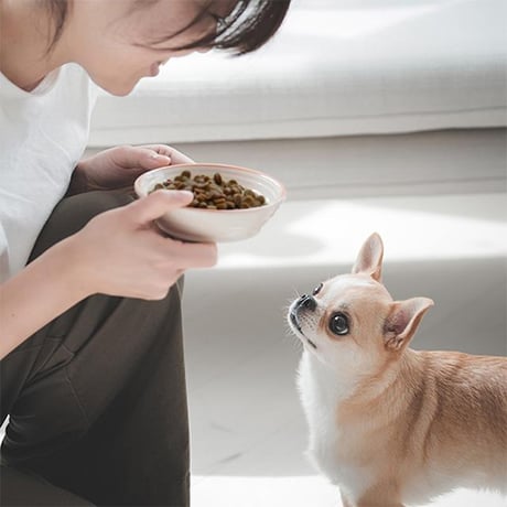 yum yum yum！(ヤムヤムヤム) 馬肉 やわらかドライタイプ 80g×5袋/80g×10袋 犬用 ドッグフード セミモイストフード ペット