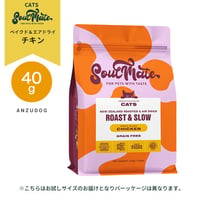 SoulMate ソウルメイト キャット ベイクド＆エアドライフード チキン お試しサイズ 40g 猫のごはん キャットフード ドライフード
