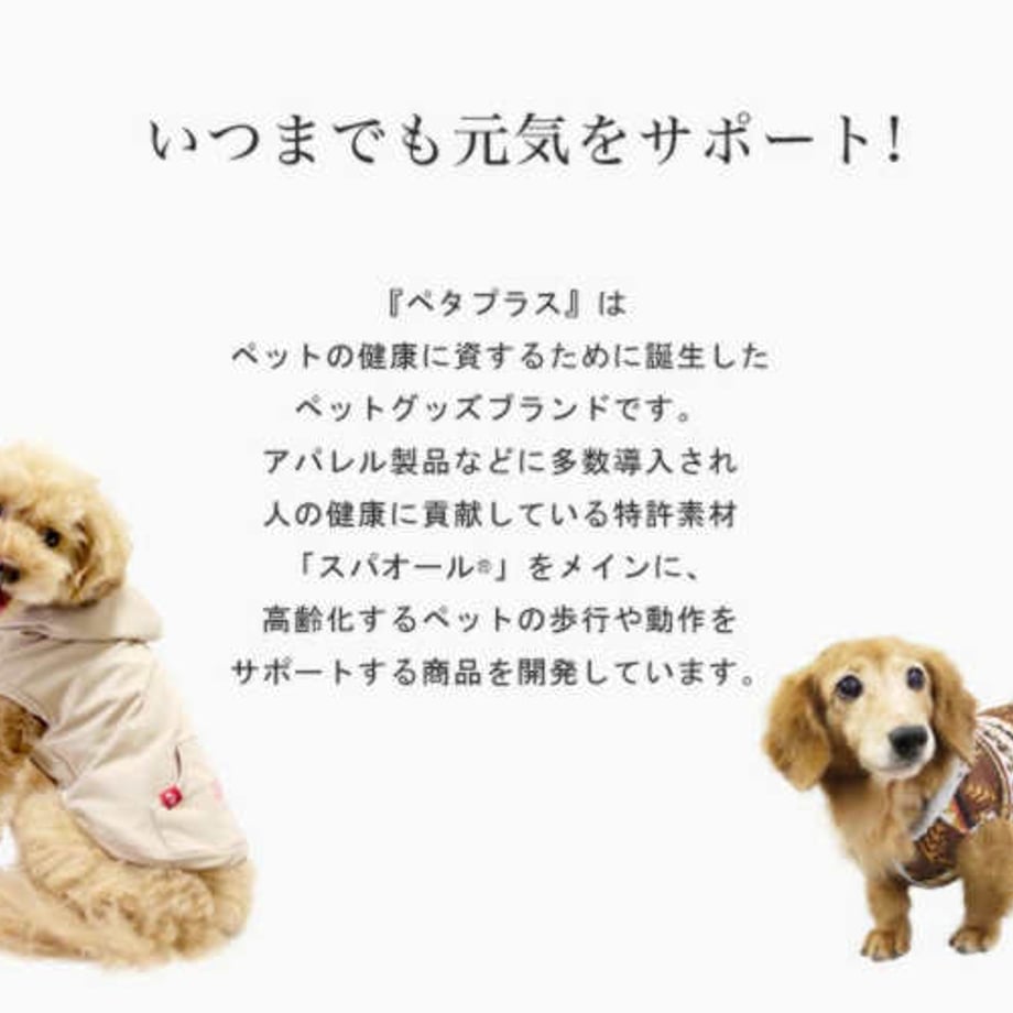 69a509c2243a75178c8a7478