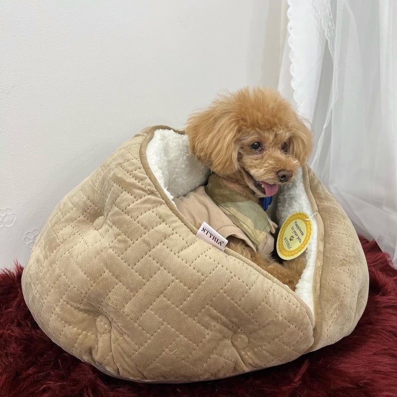 キャメル　キルティング スリングバッグ 小型犬用 PET PARADISE 犬 スリング キャリーバッグ 〔超小型犬