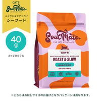 SoulMate ソウルメイト キャット ベイクド＆エアドライフード シーフード お試しサイズ 40g 猫のごはん キャットフード ドライフード