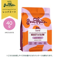 SoulMate ソウルメイト キャット ベイクド＆エアドライフード レッドミート お試しサイズ 40g 猫のごはん キャットフード ドライフード