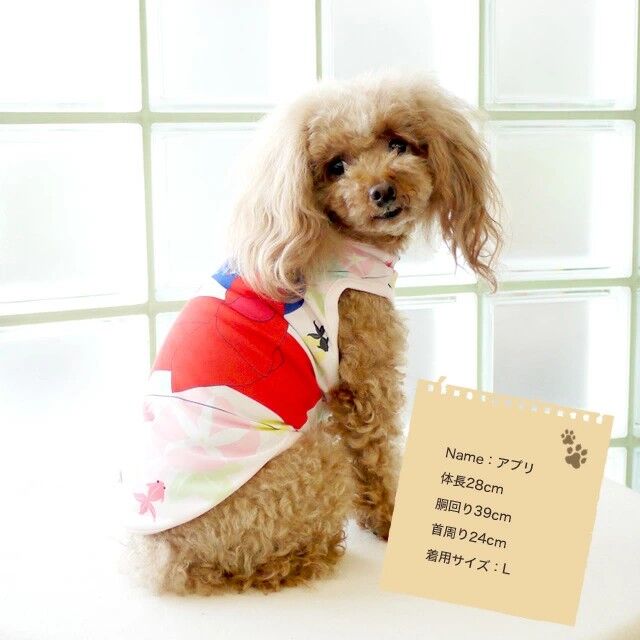 ANZUDOG×CooCouture】当店オリジナルデザイン クールクール