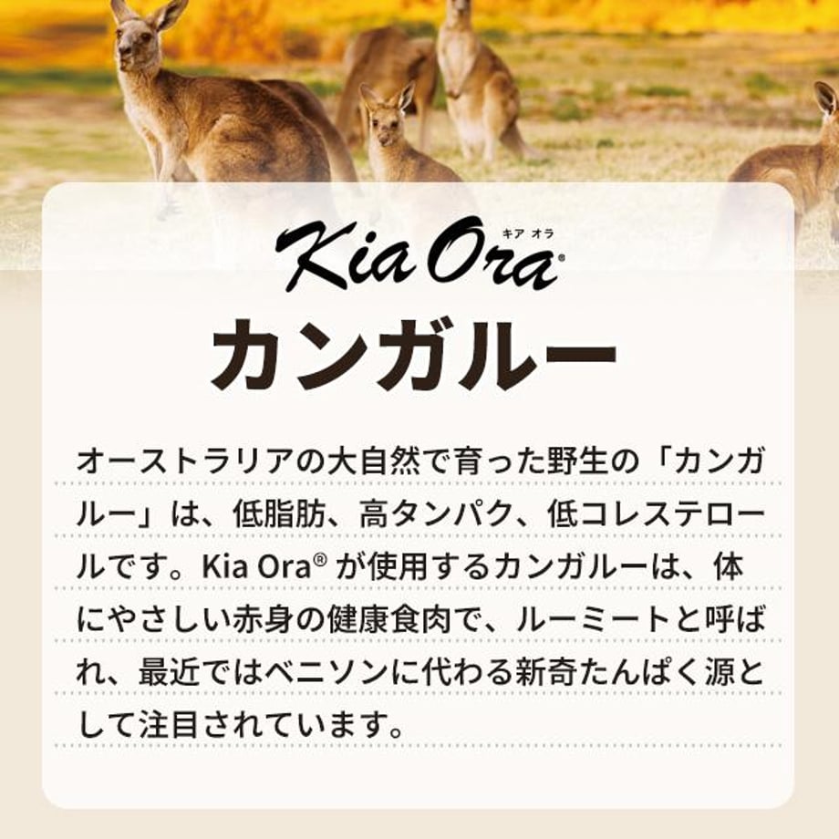6975c7b1cc85d07355baa9a5