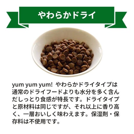yum yum yum！(ヤムヤムヤム) 馬肉 やわらかドライタイプ 80g×5袋/80g×10袋 犬用 ドッグフード セミモイストフード ペット