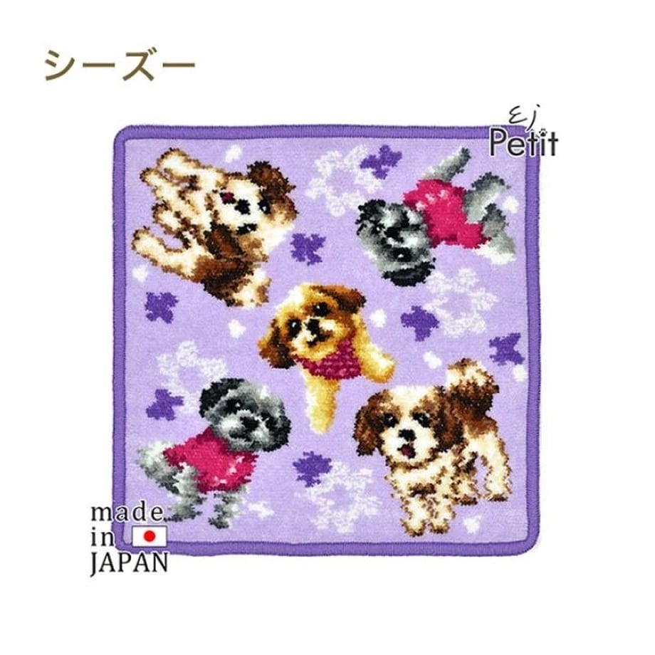 63622f81c808a449a2b4083b