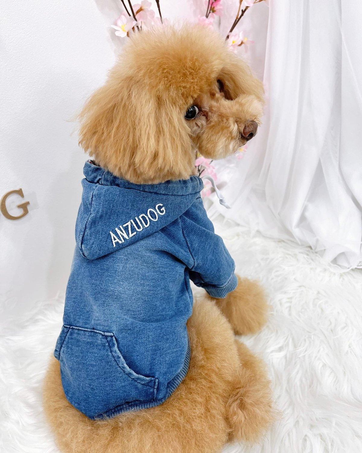 犬服　アメリカンデニム　デザイン　ワンピース見本 imgrc0105169823.jpg