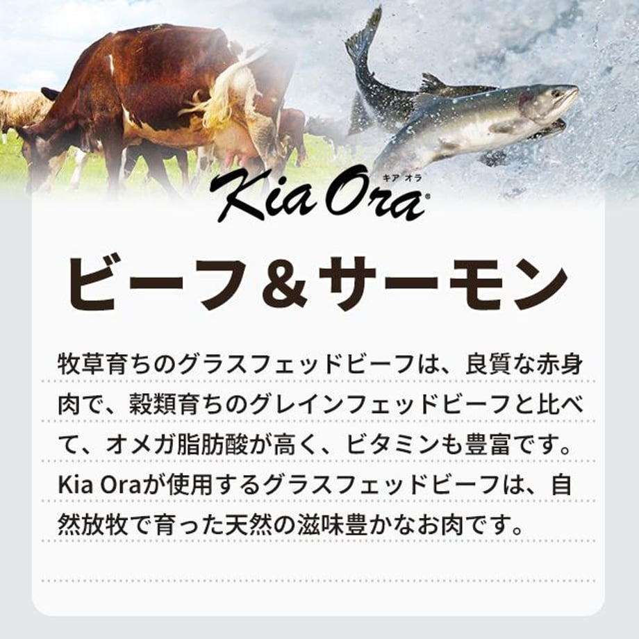 6975ca2bfc56600467cd8487