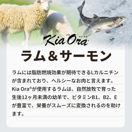 KiaOra キアオラ ドッグフード ラム＆サーモン 450g/900g/2.7kg/5kg/9.5kg ドッグフード ドライフード 全犬種・年齢対応 正規品