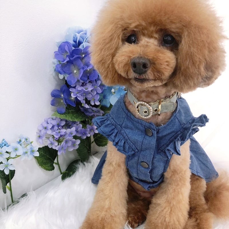 ANZUDOG】刺繍ロゴ デニムフリルワンピース | A N Z U D O G ANZUDOG】刺繍ロゴ デニムフリルワンピース | A N Z U D O G