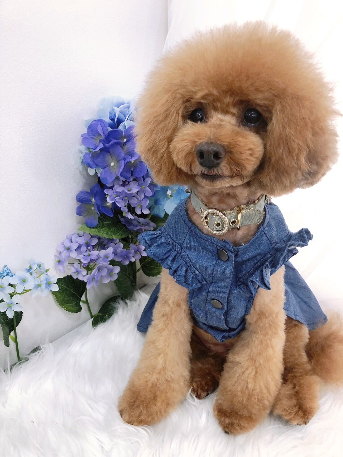 デニム 花柄刺繍 ワンピース 犬服 anzu36_m01.jpg