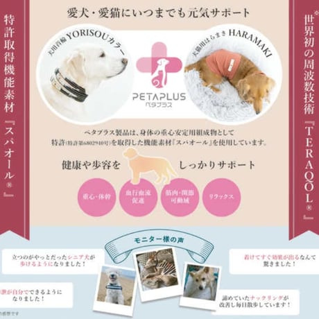 ペタプラス YORISOUカラー 首輪 L