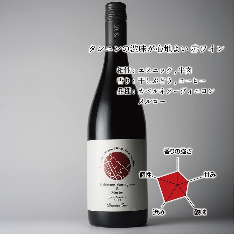 安曇野カベルネソーヴィニヨン&メルロー 2022【和酒アワード銀賞 安曇野カベルネソーヴィニヨン&メルロー 2022【和酒アワード銀賞