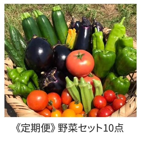 定期便 - ＜農薬・化学肥料不使用＞旬の野菜セット（約10点）