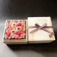 掬桐花 小【桃】