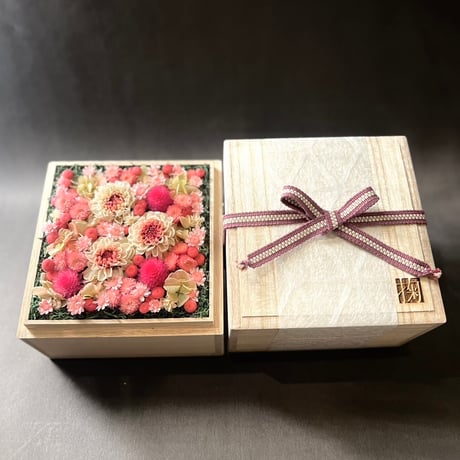 掬桐花 小【桃】
