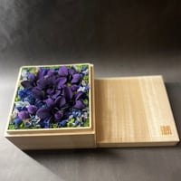 掬桐花 大【紫】
