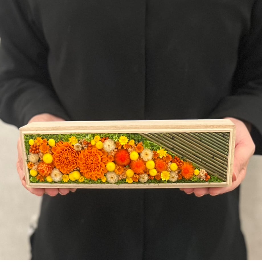 67137025df85673fb32b13ef