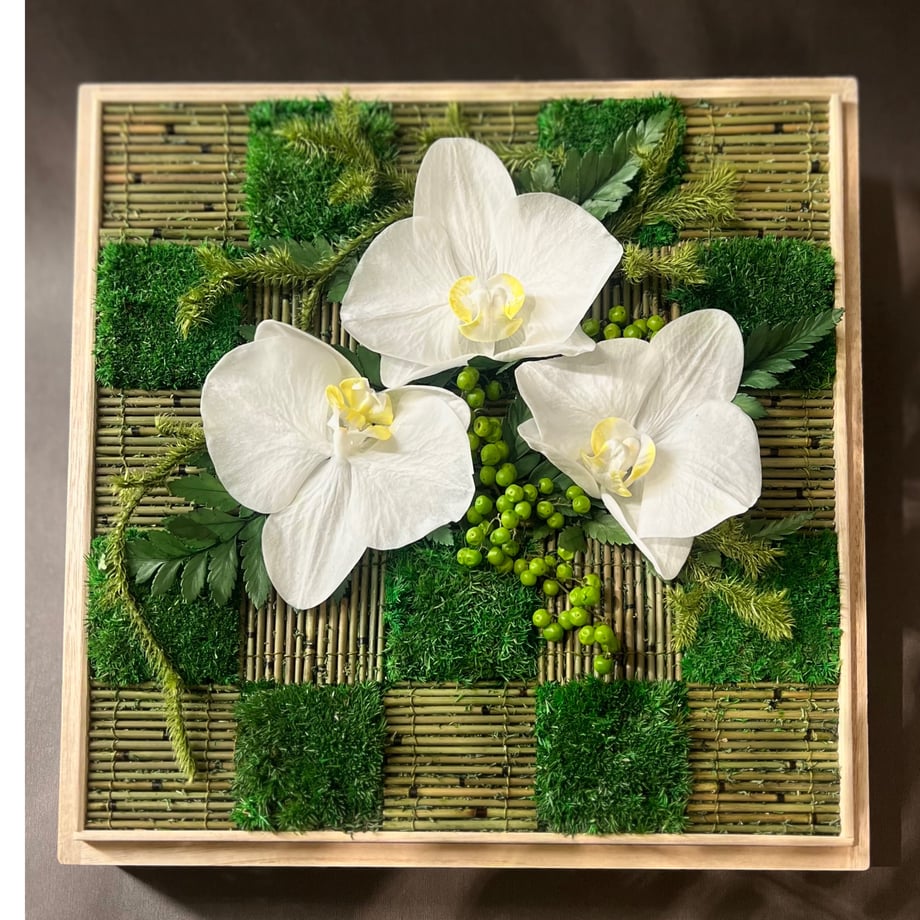 66c8654f6270d01026434dda