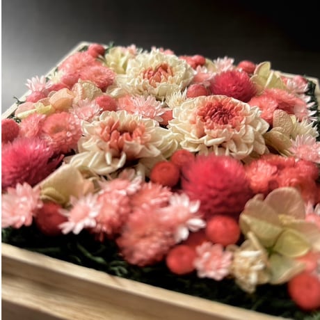 掬桐花 小【桃】