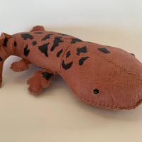 オオサンショウウオ