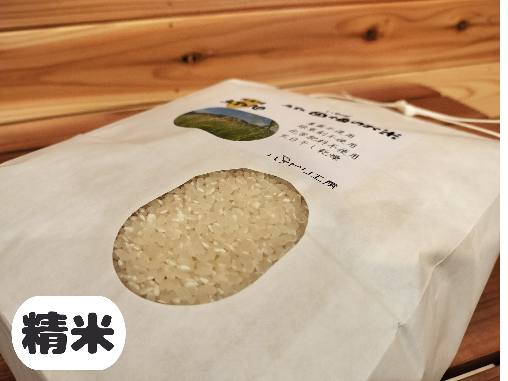 販売開始前 鳥取旭【天日干し】│令和8年産│農薬不使用│化学肥料不