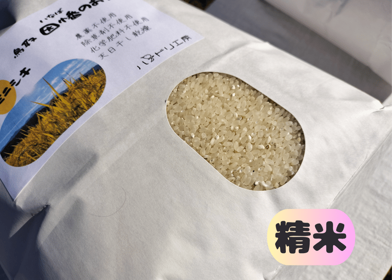 ミナミニシキ【天日干し】│令和7年産│農薬不使用│化学肥料不使用