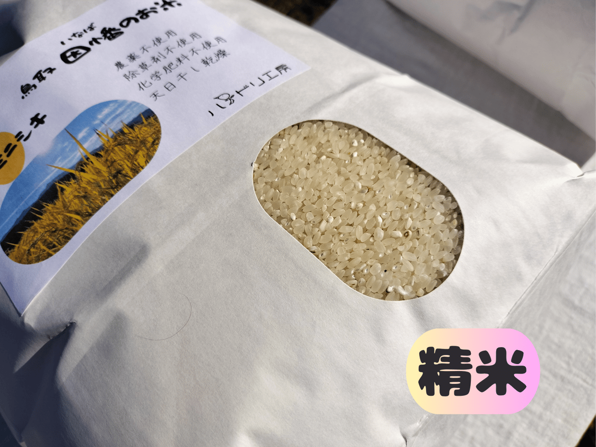 ミナミニシキ【天日干し】│令和7年産│農薬不使用│化学肥料不使用