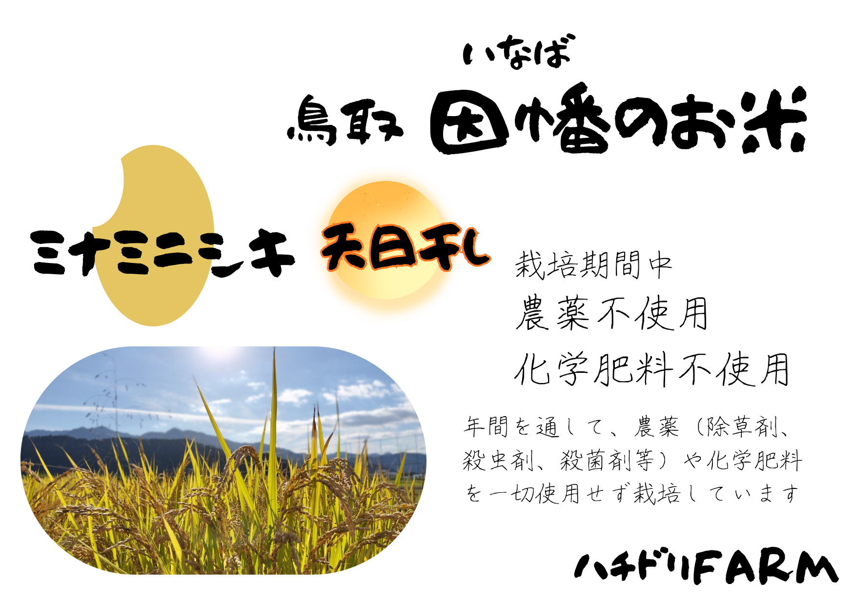 販売開始前 ミナミニシキ【天日干し】│令和8年産│農薬不使用│化学