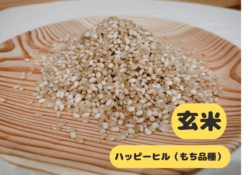 ハッピーヒル（もち米）【天日干し】│令和7年産│農薬不使用│化学