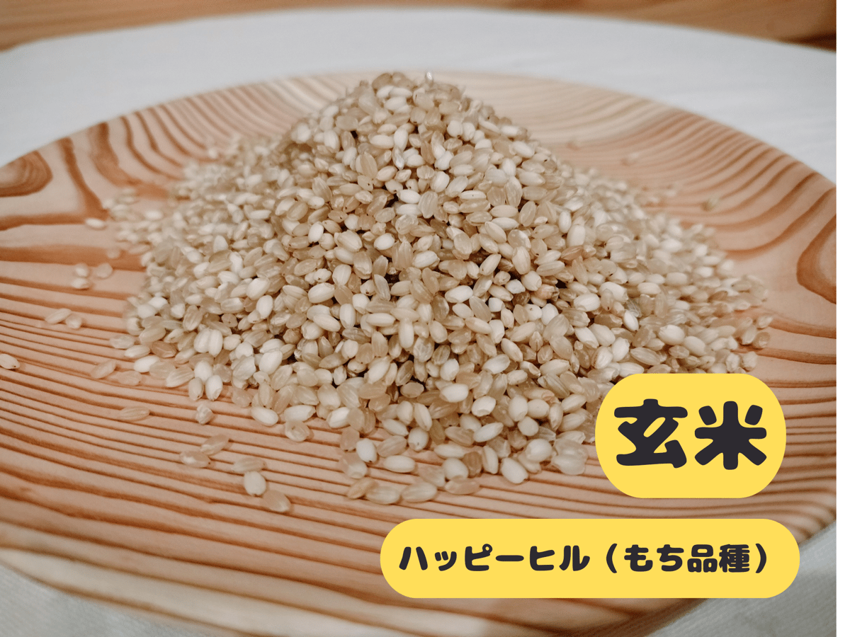 ハッピーヒル（もち米）【天日干し】│令和7年産│農薬不使用│化学