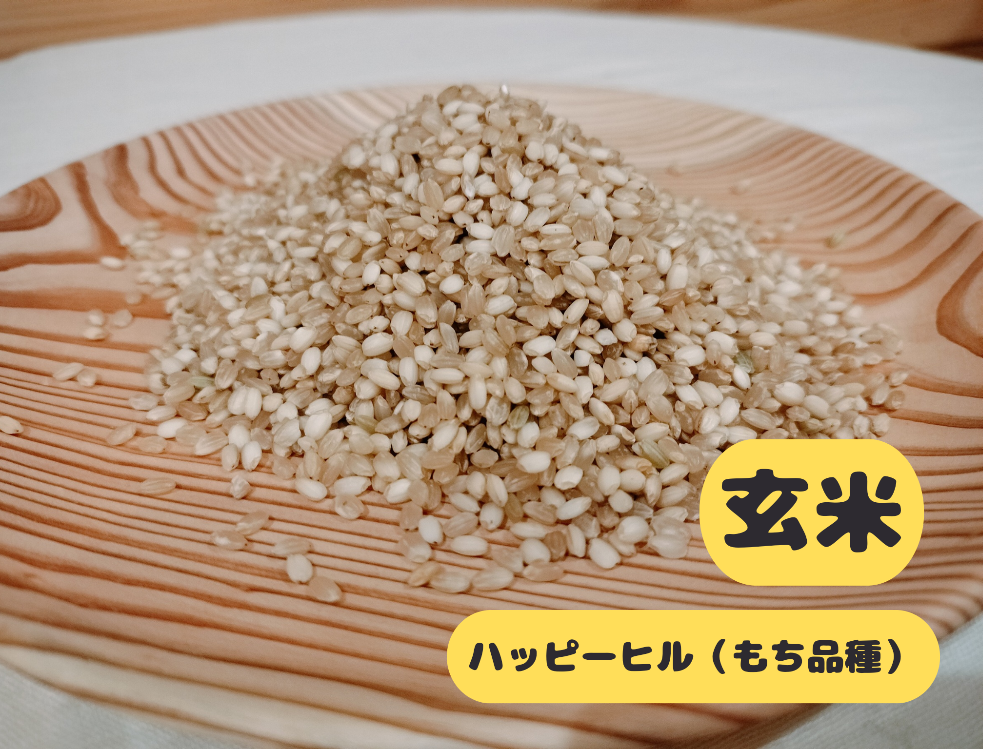 ハッピーヒル（もち米）【天日干し】│令和7年産│農薬不使用│化学